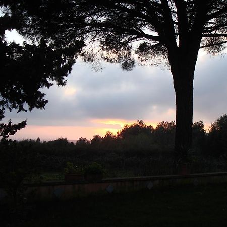 Ai Cipressi Bed & Breakfast Salemi Bagian luar foto