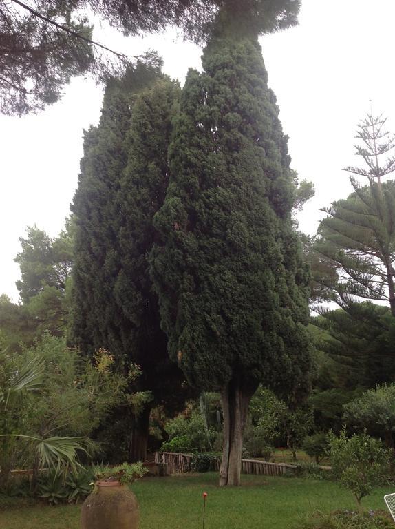 Ai Cipressi Bed & Breakfast Salemi Bagian luar foto